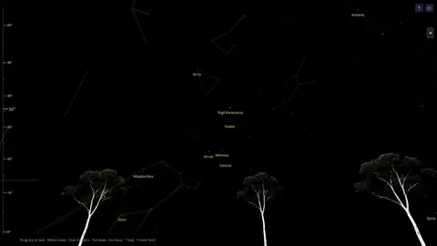 Pale gum trees on an Australian horizon in Night Atlas, with the Southern Cross stars Acrux, Mimosa, and Gacrux.