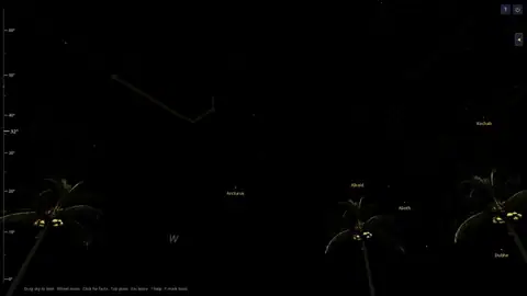 Palm trees with coconuts along a Hawaiian horizon in Night Atlas, with Arcturus and the Big Dipper in the sky.